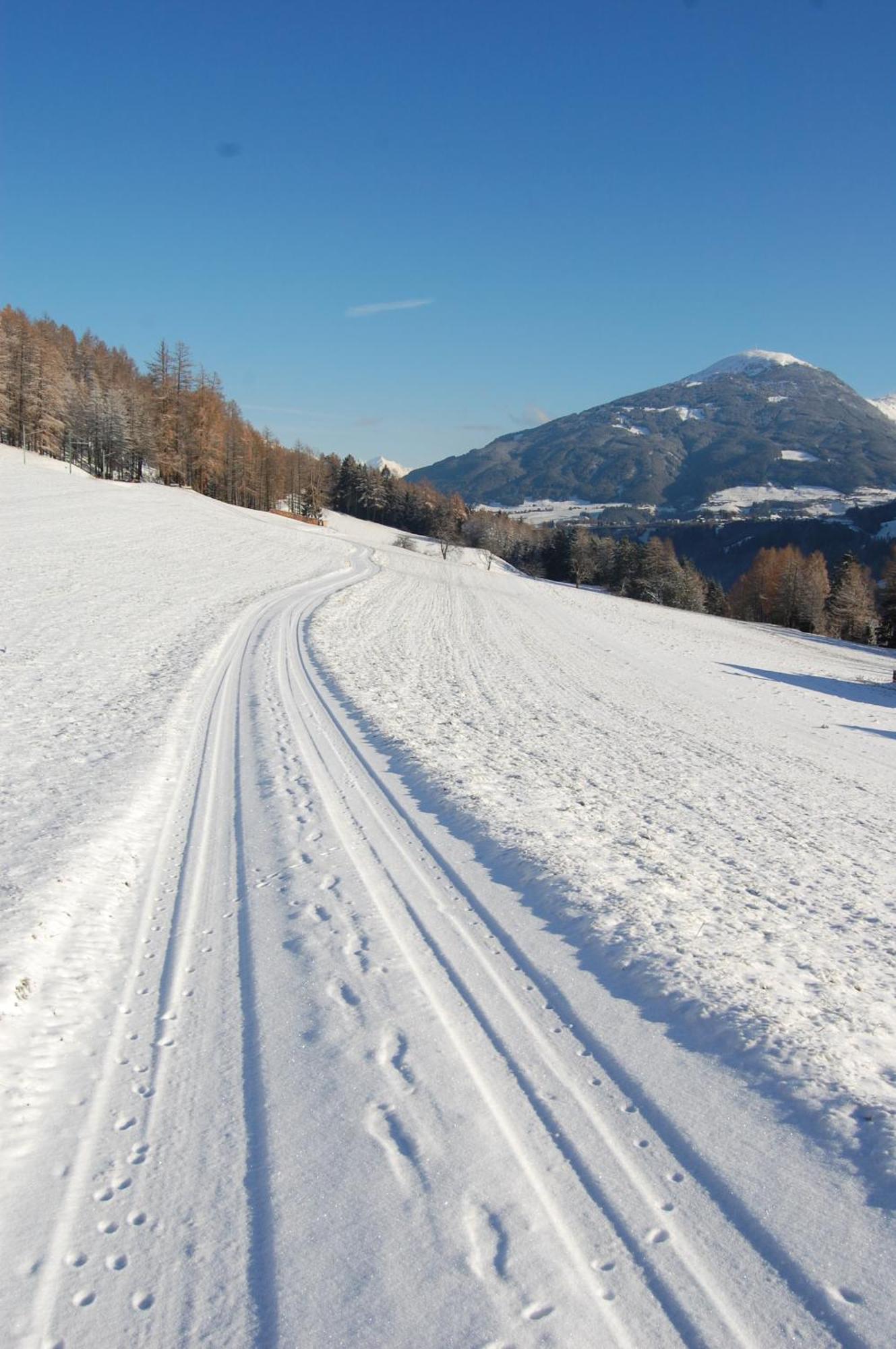 Ferienwohnungen Unterluimes Telfes im Stubai Dış mekan fotoğraf